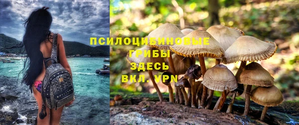 винт Бугульма