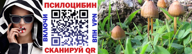OMG ссылка где купить наркоту Электроугли Псилоцибиновые грибы ЛСД